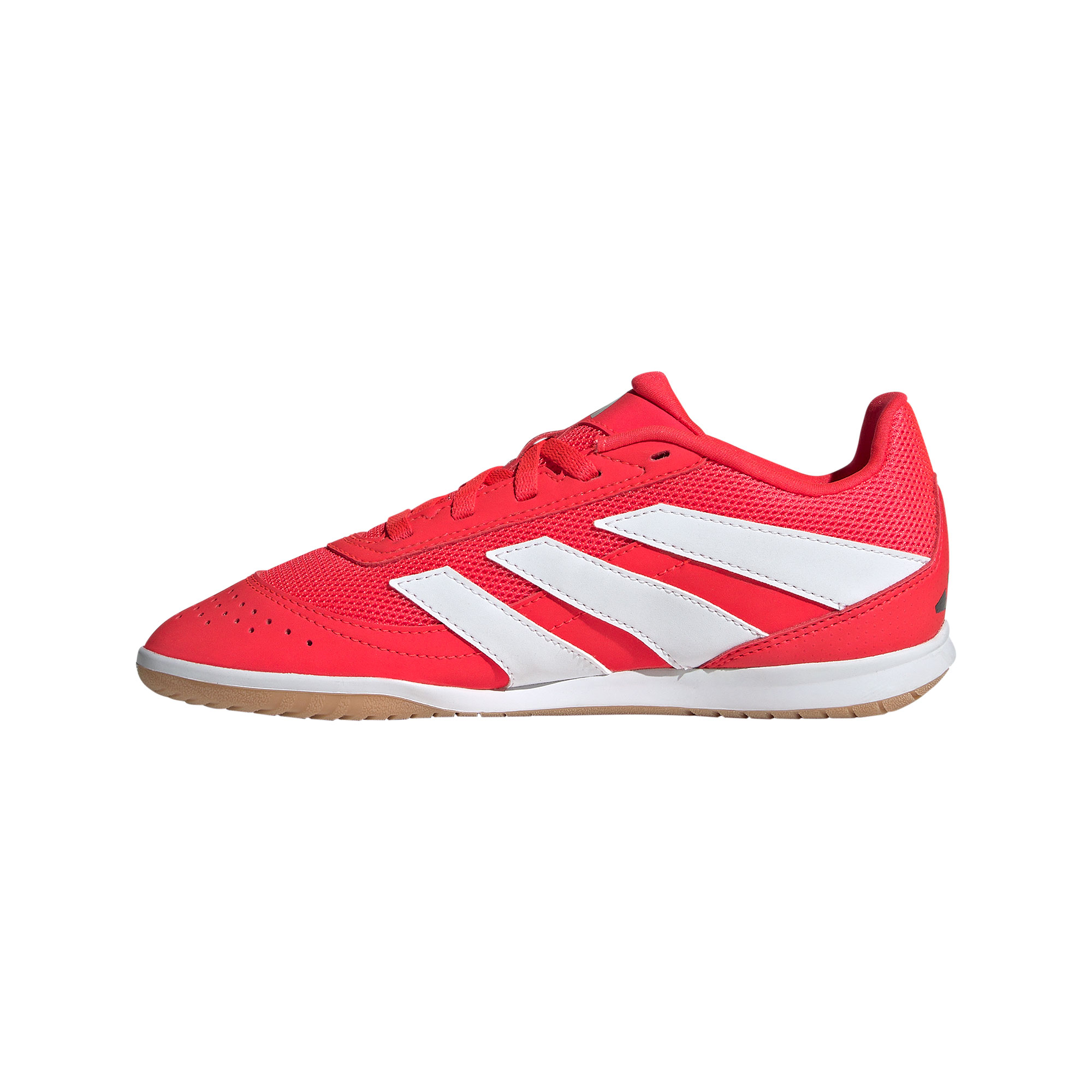 adidas Predator Club In Sala J Hallenschuhe