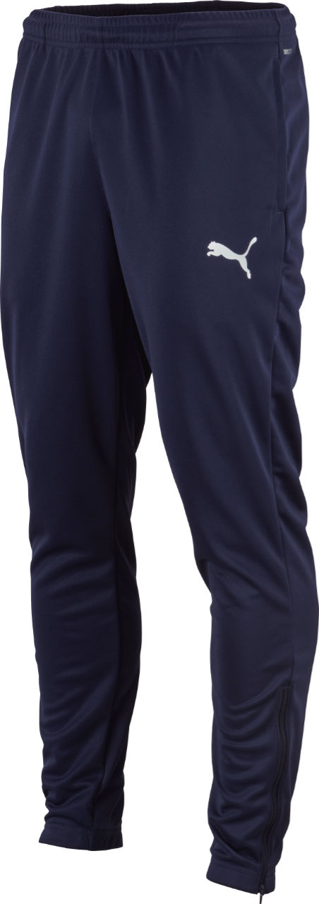 Puma teamRISE Poly Trg Pants Jr Kinder