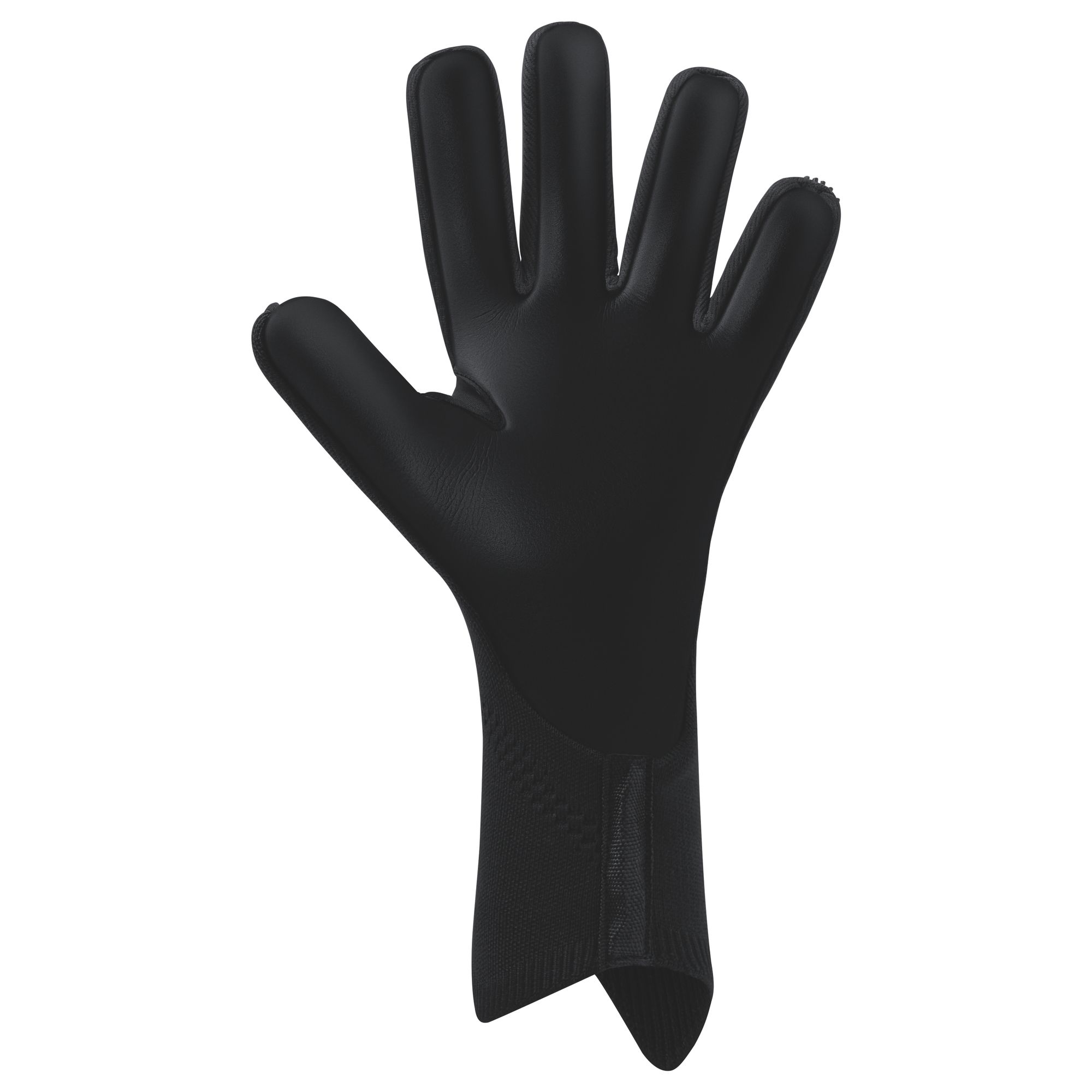 Erima AeroClaw Legend Torwart-Handschuhe