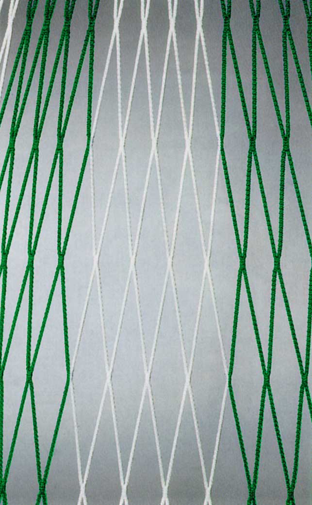 Tornetz 7,5x2,5x0,8-2m PAAR zweifarbig