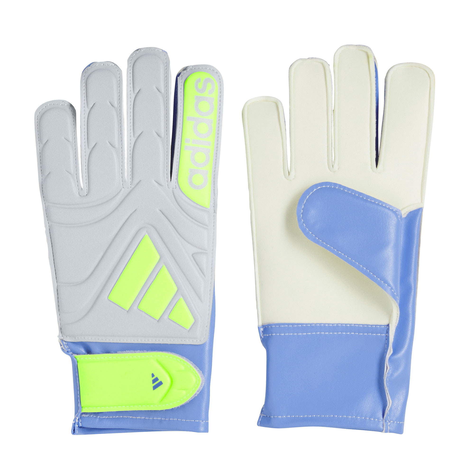 adidas COPA GL Club Junior Torwarthandschuhe