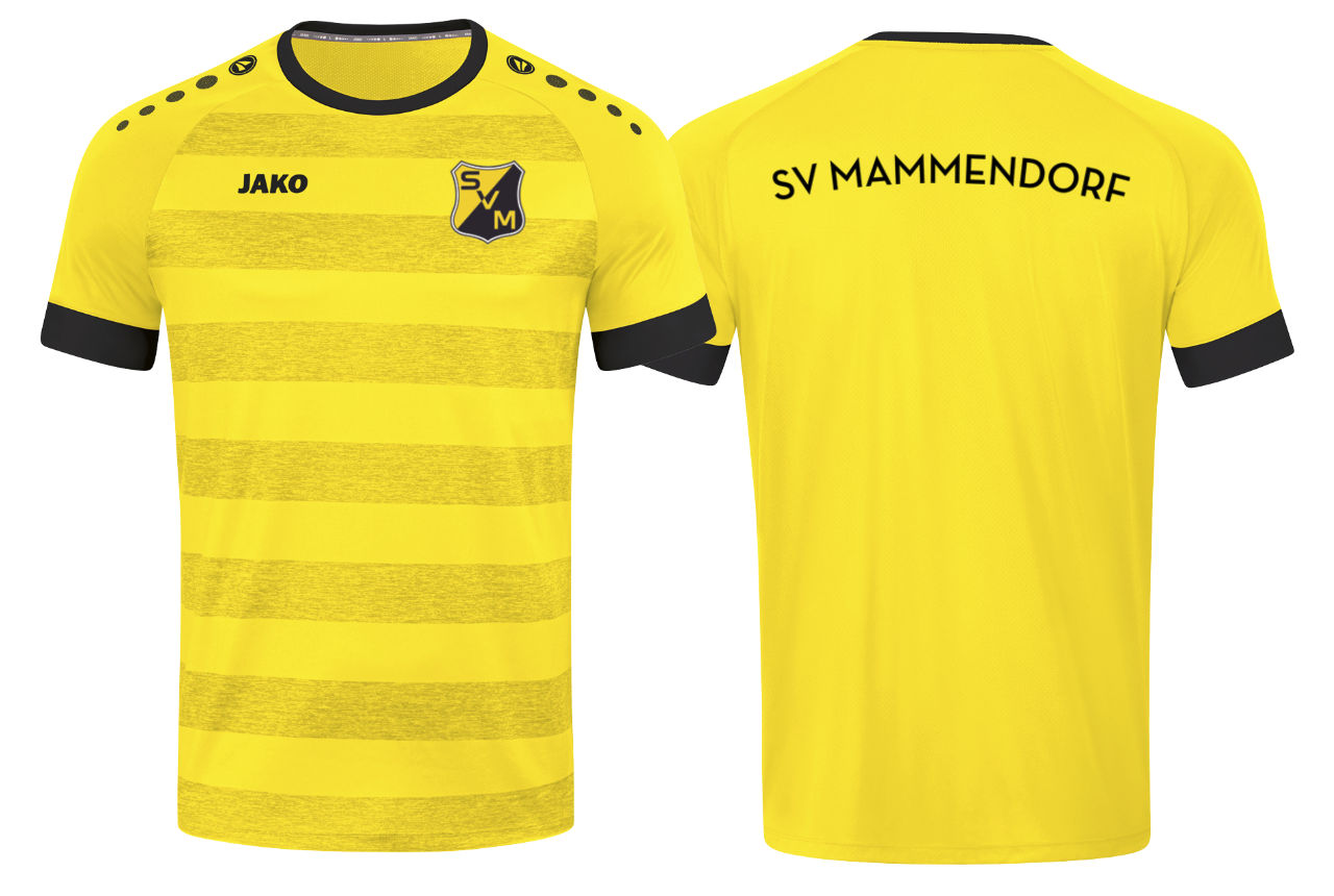 Jako Trikot SV Mammendorf Celtic Melange KA Kinder mit Vereinswappen und Vereinsname