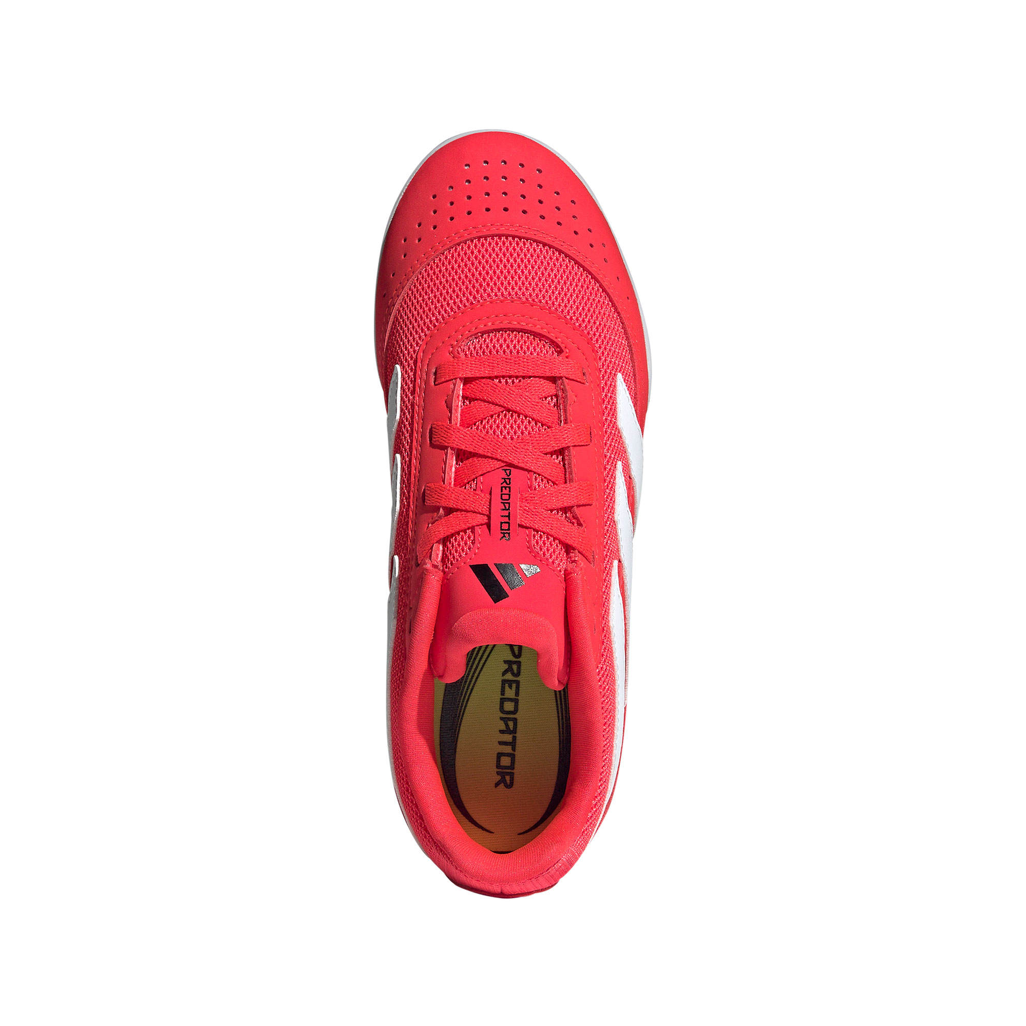 adidas Predator Club In Sala J Hallenschuhe