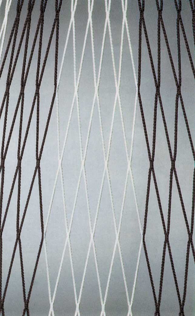 Tornetz 7,5x2,5x0,8-2m PAAR zweifarbig