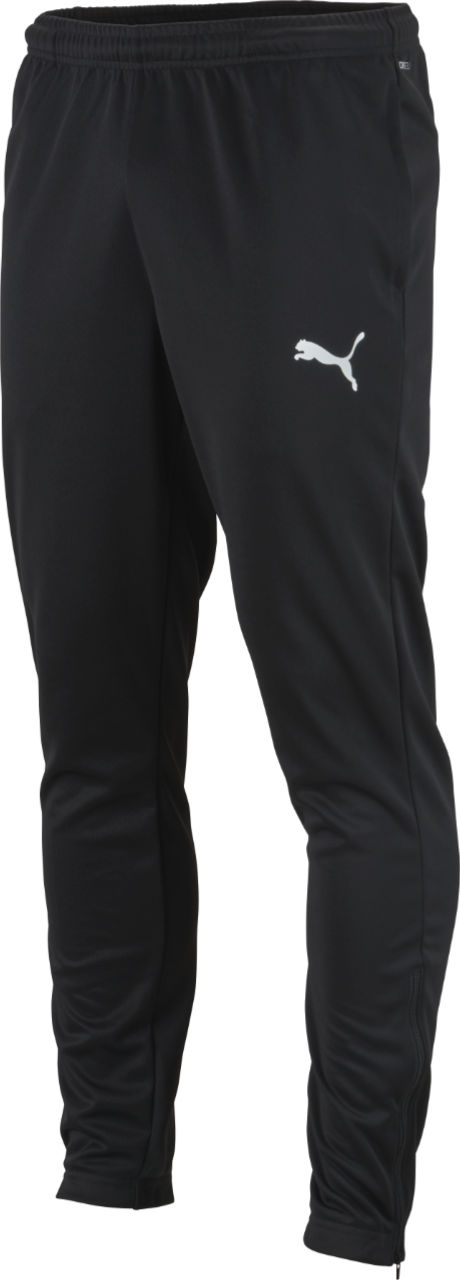 Puma teamRISE Poly Trg Pants Jr Kinder