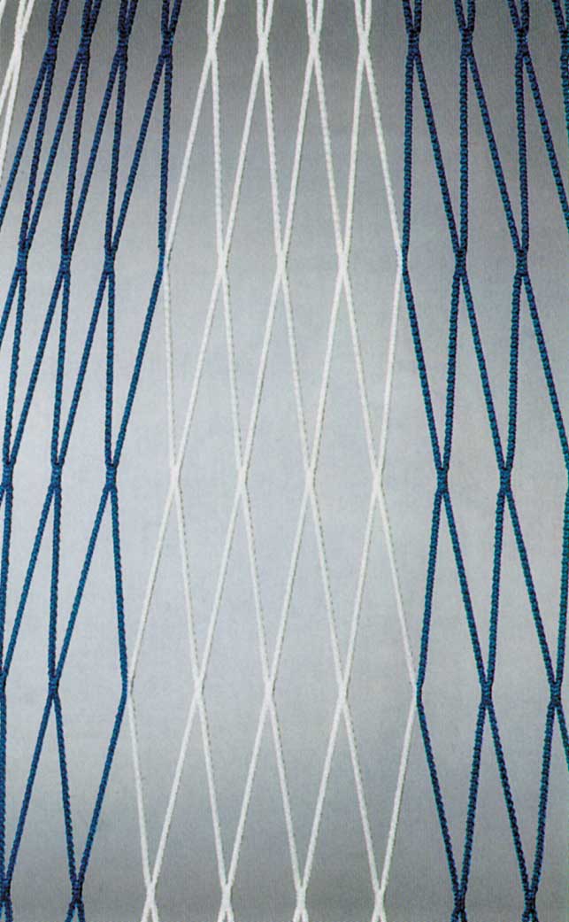 Tornetz 7,5x2,5x0,8-2m PAAR zweifarbig