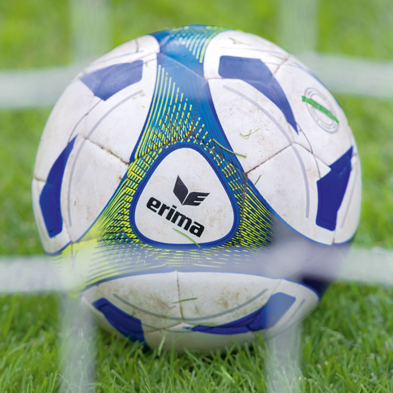 Erima Hybrid Training 10er Set