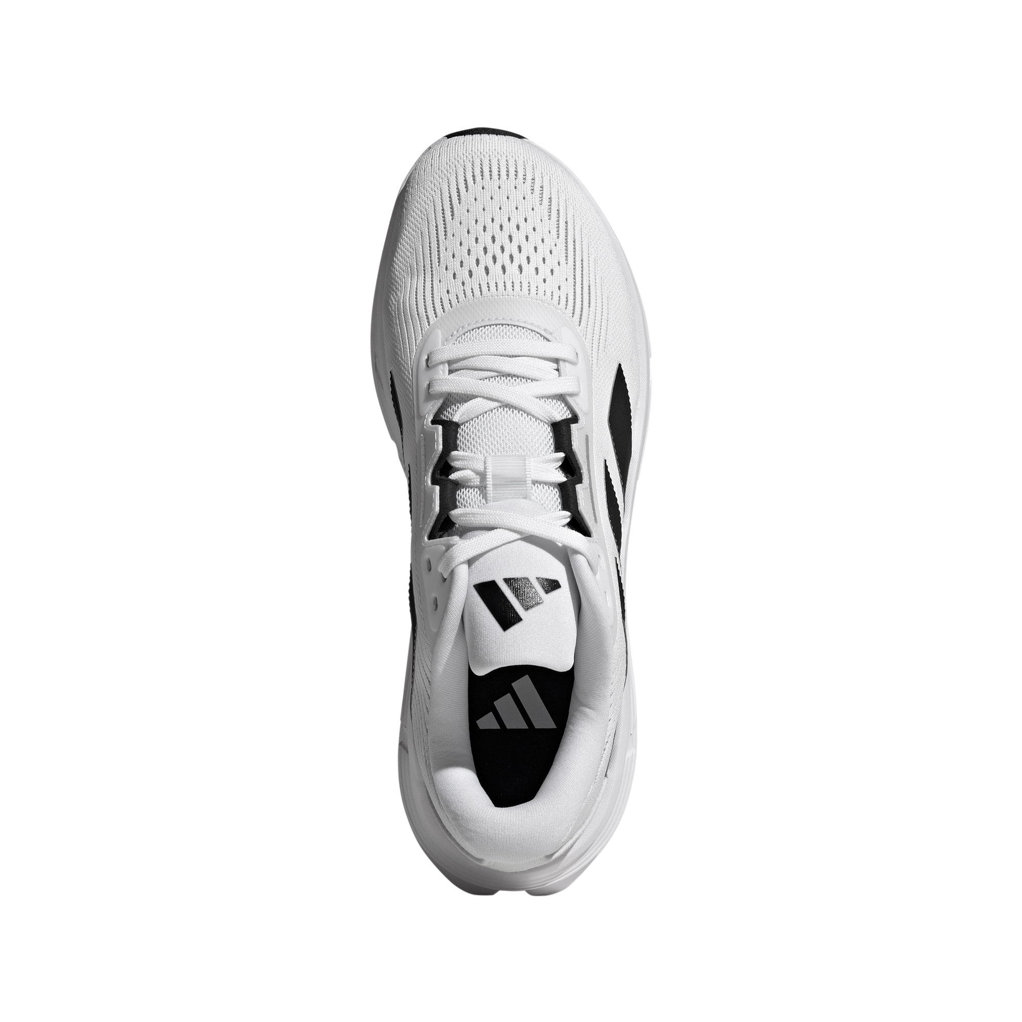 adidas Questar 3 M Laufschuhe